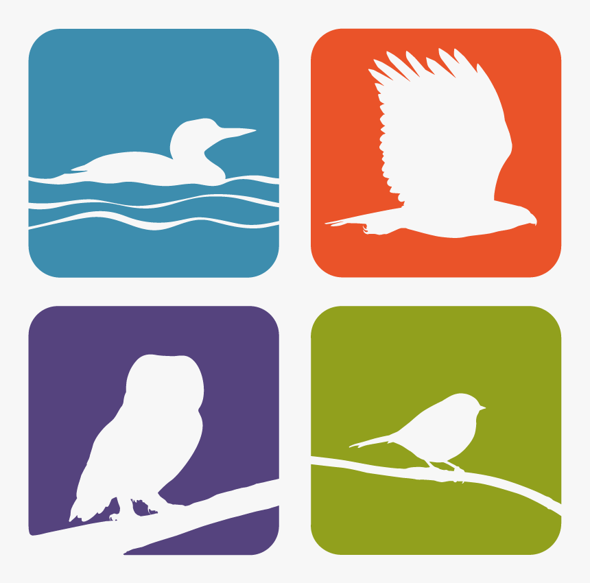 Whitefish Point Bird Observatory Logo - Parrot, HD Png Download, Free Download