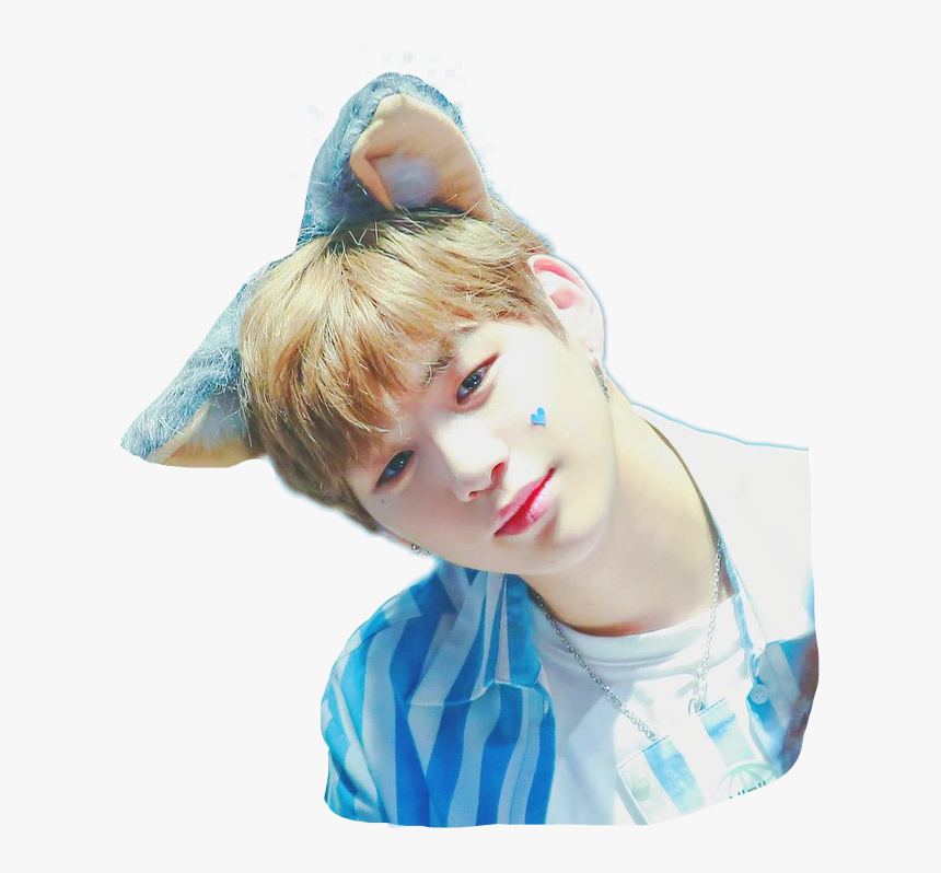 Kangdaniel Wannaone Kpop Daniel Freetoedit - K Pop Sticker Wanna One, HD Png Download, Free Download