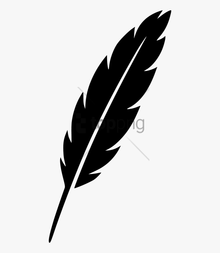 Leaf,feather,black And White,monochrome Photography,plant,grass - Feather Pen Clipart, HD Png Download, Free Download