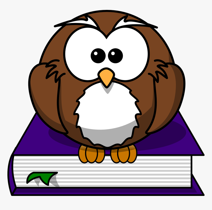 Cartoon Owl, HD Png Download, Free Download