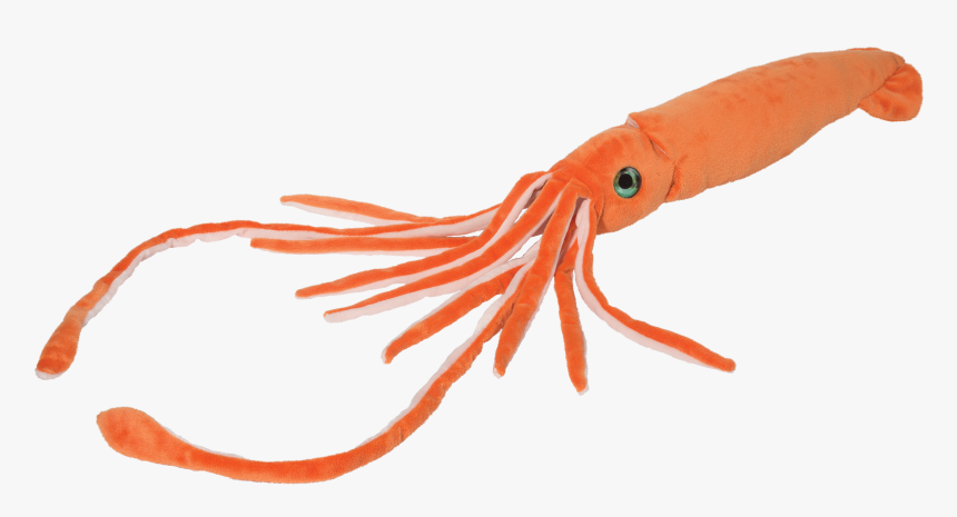 Douglas Cuddle Toys Squid, HD Png Download, Free Download