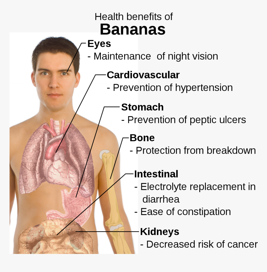 Banana Benefits At Night, HD Png Download, Free Download