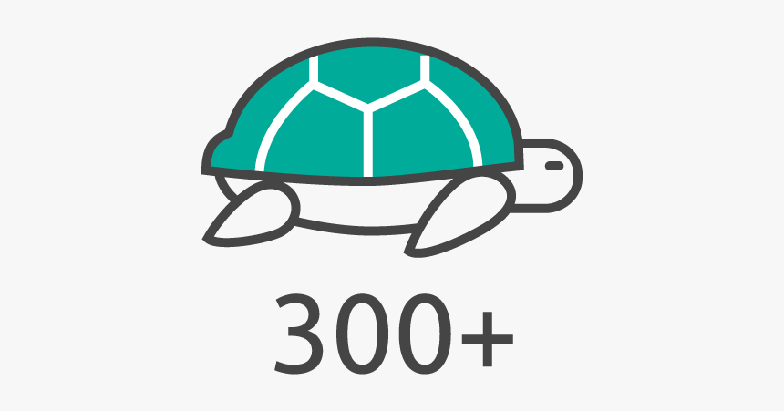 There Are More Than 300 Unique Species Of Wildlife - Tortoise, HD Png Download, Free Download