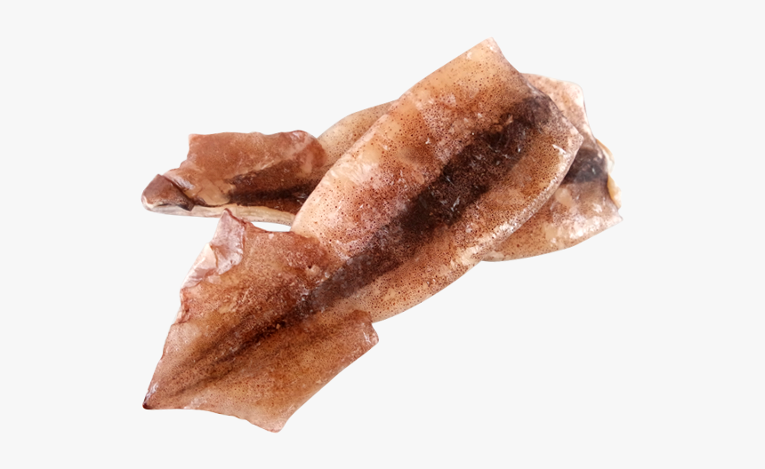 Squid Png - Squid Food Png, Transparent Png, Free Download