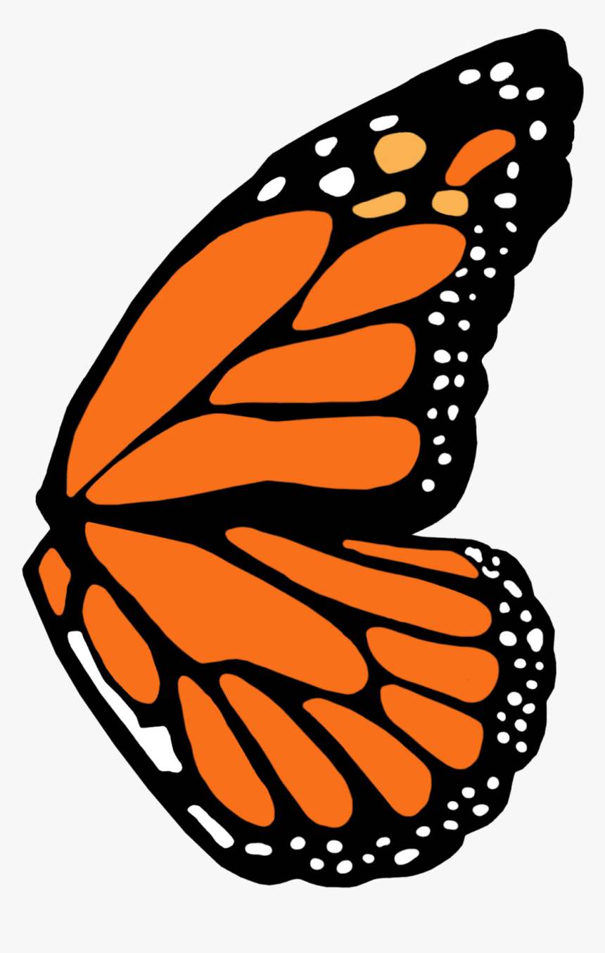 Transparent Tinkerbell Wings Png - Monarch Butterfly Wing Template, Png Download, Free Download