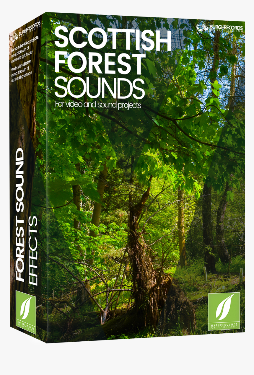 Forest Sounds, HD Png Download, Free Download