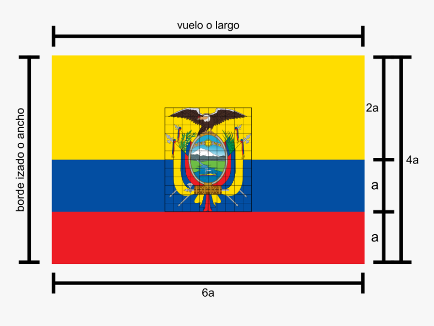 Cuanto Mide Una Bandera, HD Png Download, Free Download