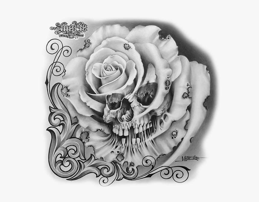 Pencil Skull And Rose Drawing, HD Png Download, Free Download