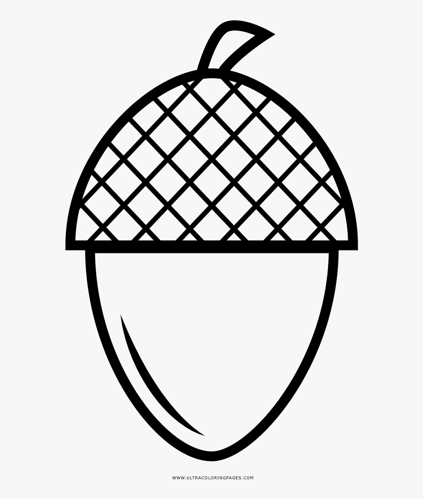 Acorn Coloring Page   Outline Tennis Racket Clipart, HD Png ...