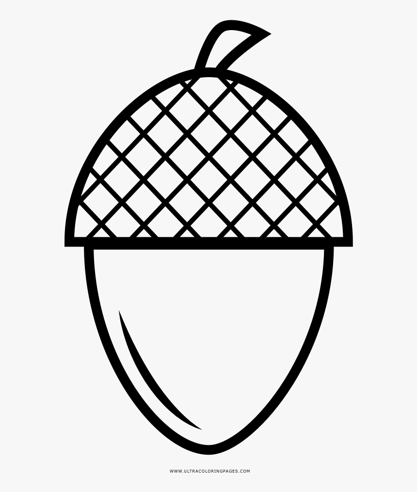 Acorn Coloring Page - Outline Tennis Racket Clipart, HD Png Download, Free Download