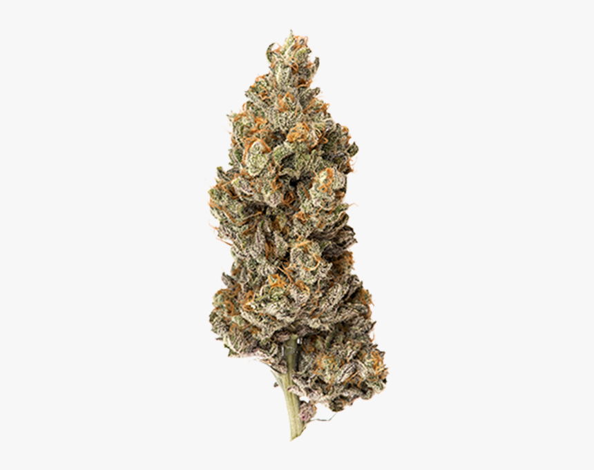 Upnorth Humboldt Grape Soda Strain Photo - Cannabis, HD Png Download, Free Download