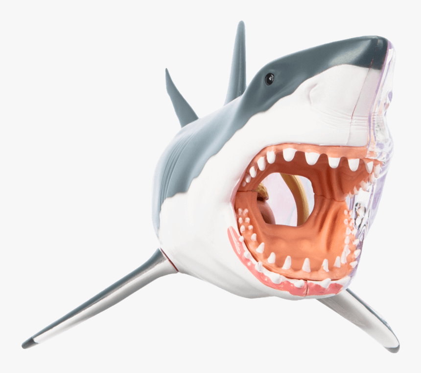 Great White Shark Chumming Cartilaginous Fishes Mackerel - Mighty Jaxx Shark, HD Png Download, Free Download