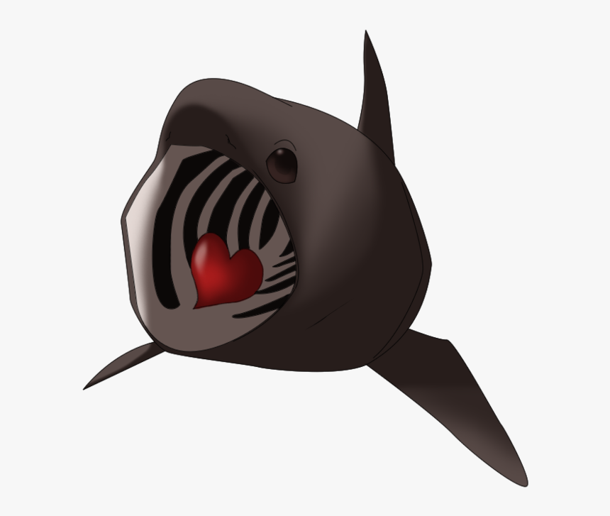 Basking Shark Drawing Tiger Shark - Basking Shark Transparent, HD Png Download, Free Download