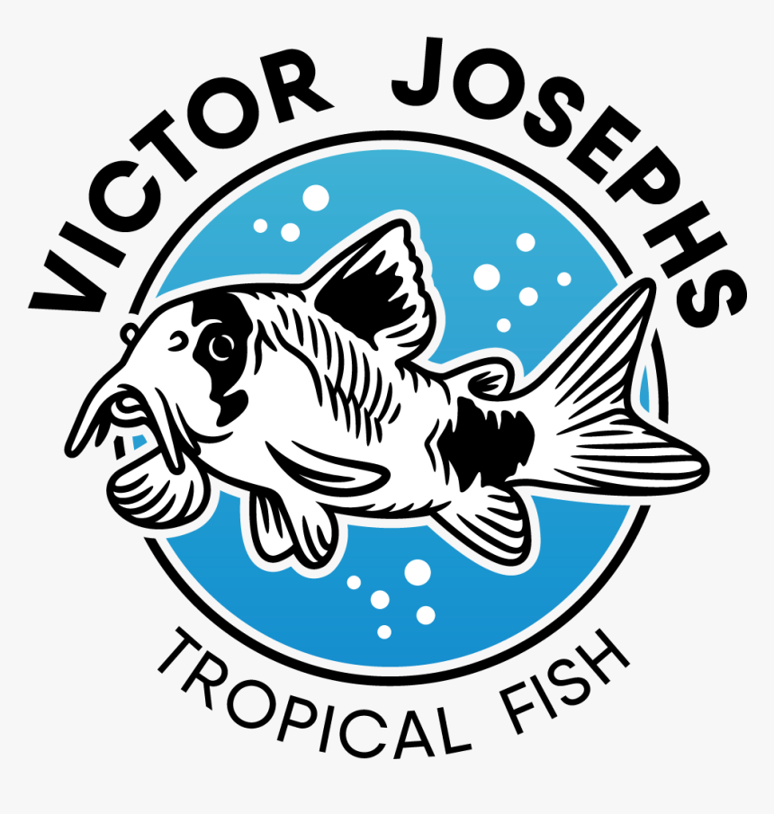 Tropical Fish Png -victor Josephs Tropical Fish - Shark, Transparent Png, Free Download