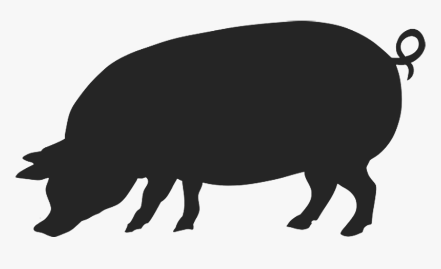 Pig Img - Butcher Wall Animals, HD Png Download, Free Download