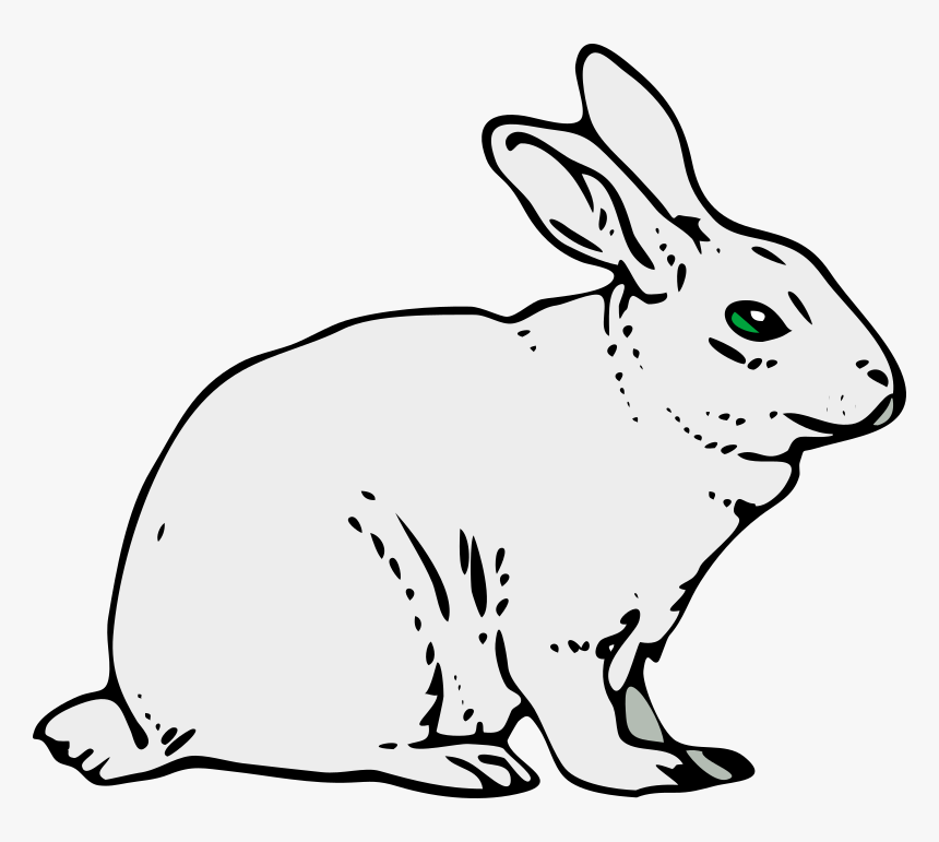Gray Rabbit Svg Clip Arts - Clip Art Of Rabbit, HD Png Download, Free Download