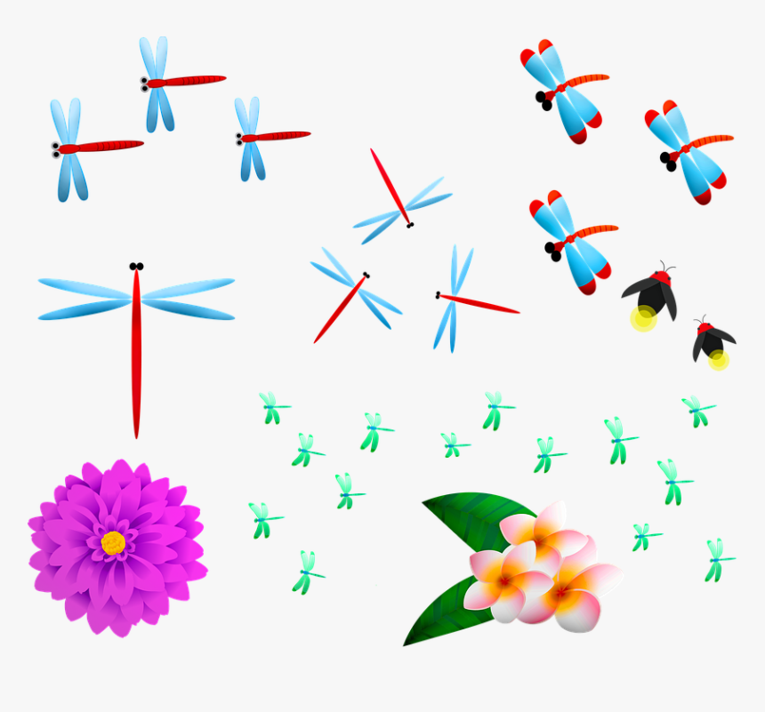 Dragon Flies, Dragonfly, Firefly, Insect, Nature, Bug, HD Png Download, Free Download