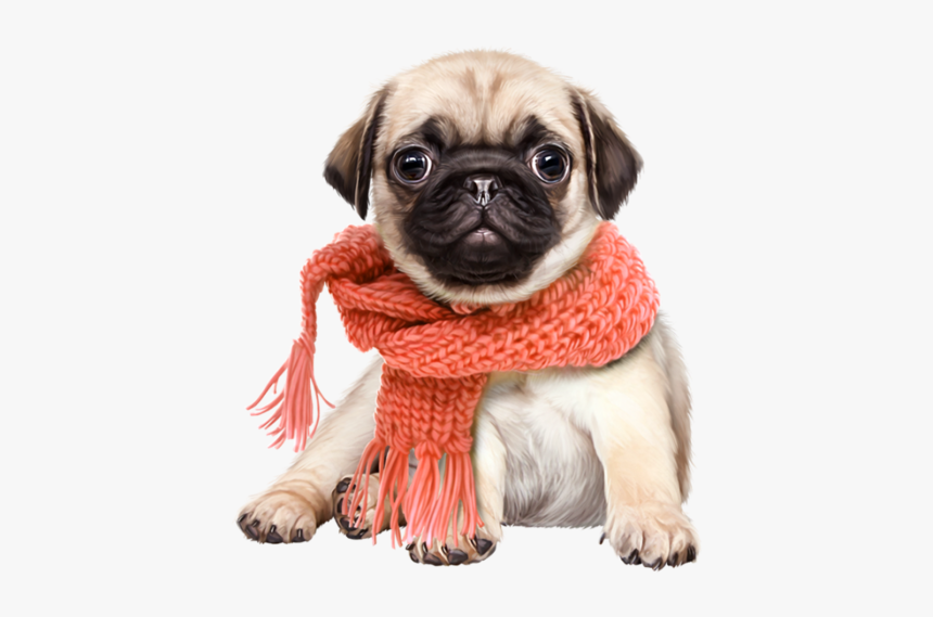 Cute Dogs Png - Pug Dog Png, Transparent Png, Free Download