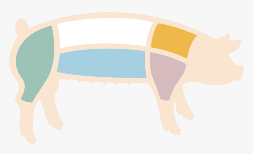 Pig Cut Locations - Primal Cuts Of Pork Blank, HD Png Download, Free Download