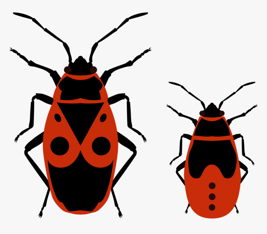 Fireflies And Nymphs - Fire Bug Clipart, HD Png Download, Free Download