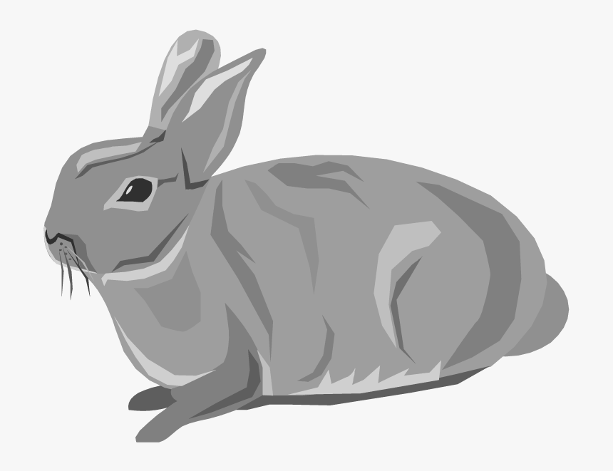 Bunnies Clipart Mini Lop - Transparent Background Rabbit Clipart, HD Png Download, Free Download