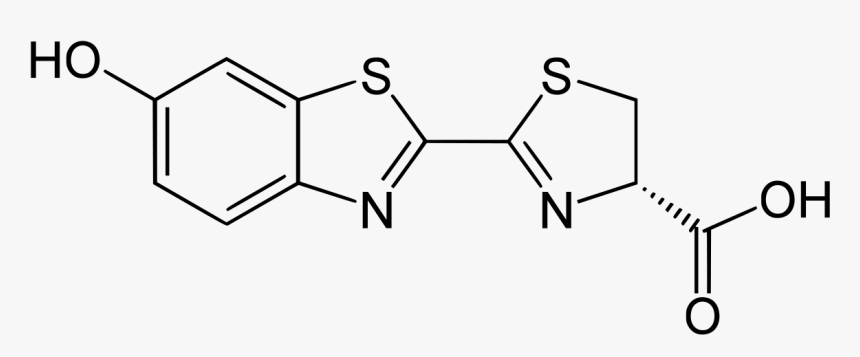 2 Methyl Benzimidazole Synthesis, HD Png Download, Free Download