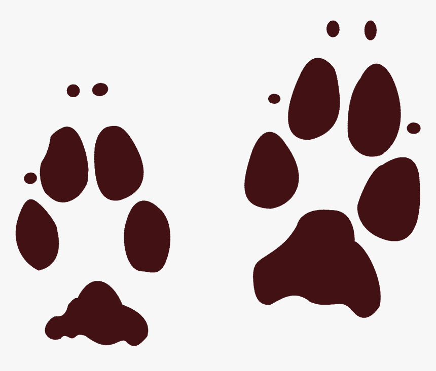Real Bunny Paw Print Clipart , Png Download - Coyote Tracks Odnr, Transparent Png, Free Download