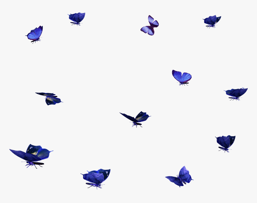 Clip Art Firefly Overlay - Butterflies Photoshop, HD Png Download, Free Download