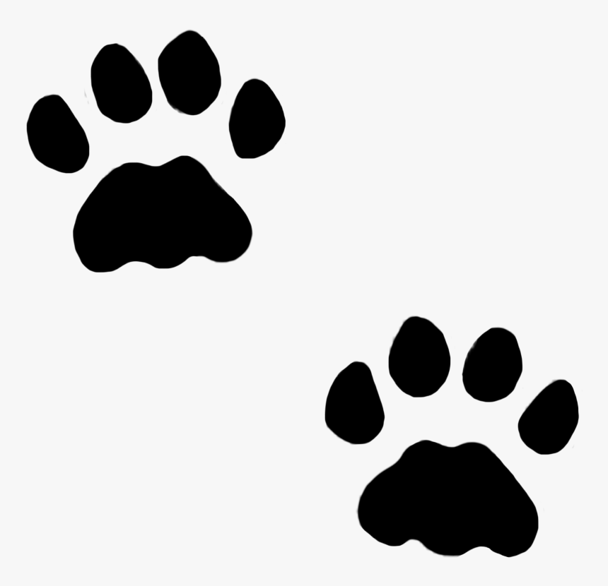 Dog Paws, Cat Paws In Snow, Cat Paw Prints, HD Png Download, Free Download