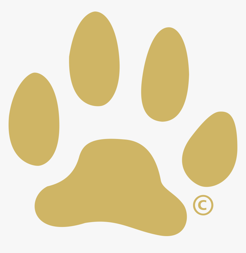 White Dog Paw Png - Gold Paw Print Png, Transparent Png, Free Download