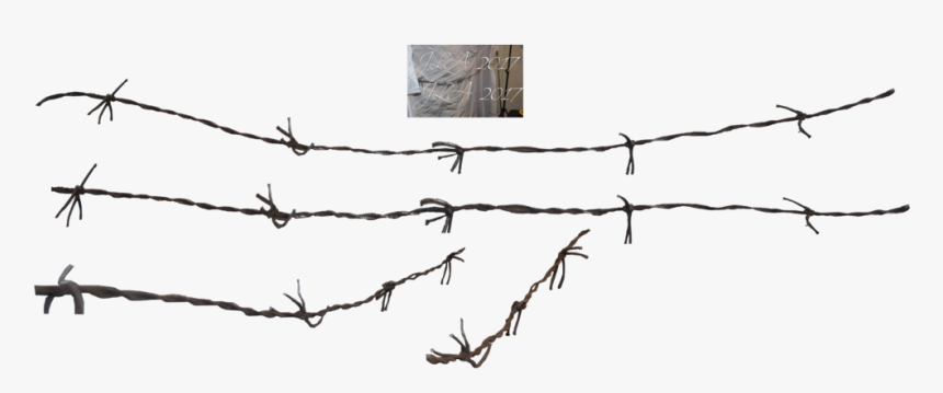 Barbed Wire Fence Chain-link Fencing - Barbed Wire Wire Png, Transparent Png, Free Download