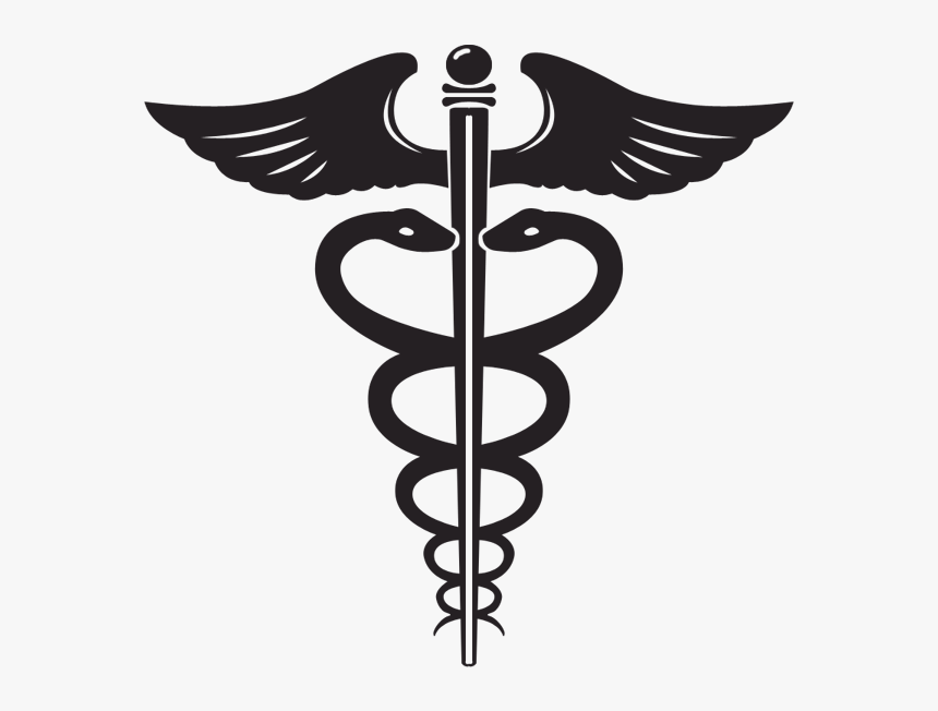 Medical Symbol With Two Snakes And Large Wings - Doctor Symbol In India, HD Png Download, Free Download