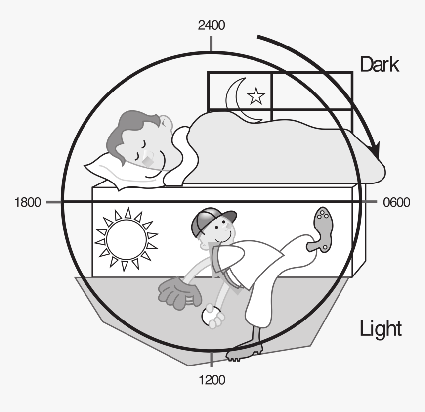 Brains Clipart For Kid Png - Day And Night Cartoon Black And White, Transparent Png, Free Download