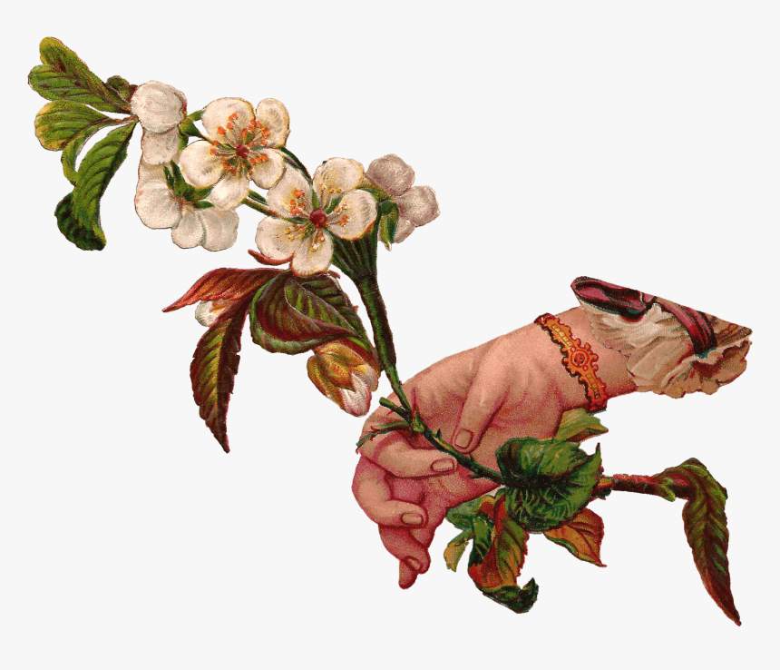 Hand Giving Flowers - Victorian Flower Illustration Png, Transparent Png, Free Download