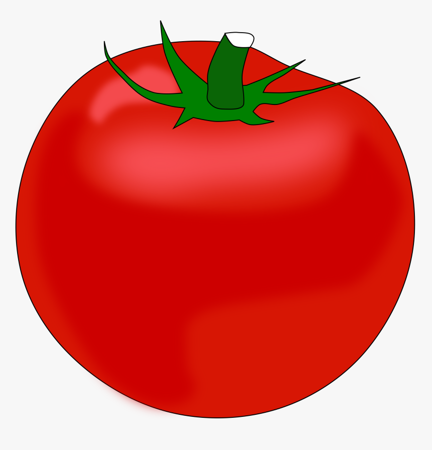 Tomato Clipart Transparent Free - Tomato, HD Png Download, Free Download