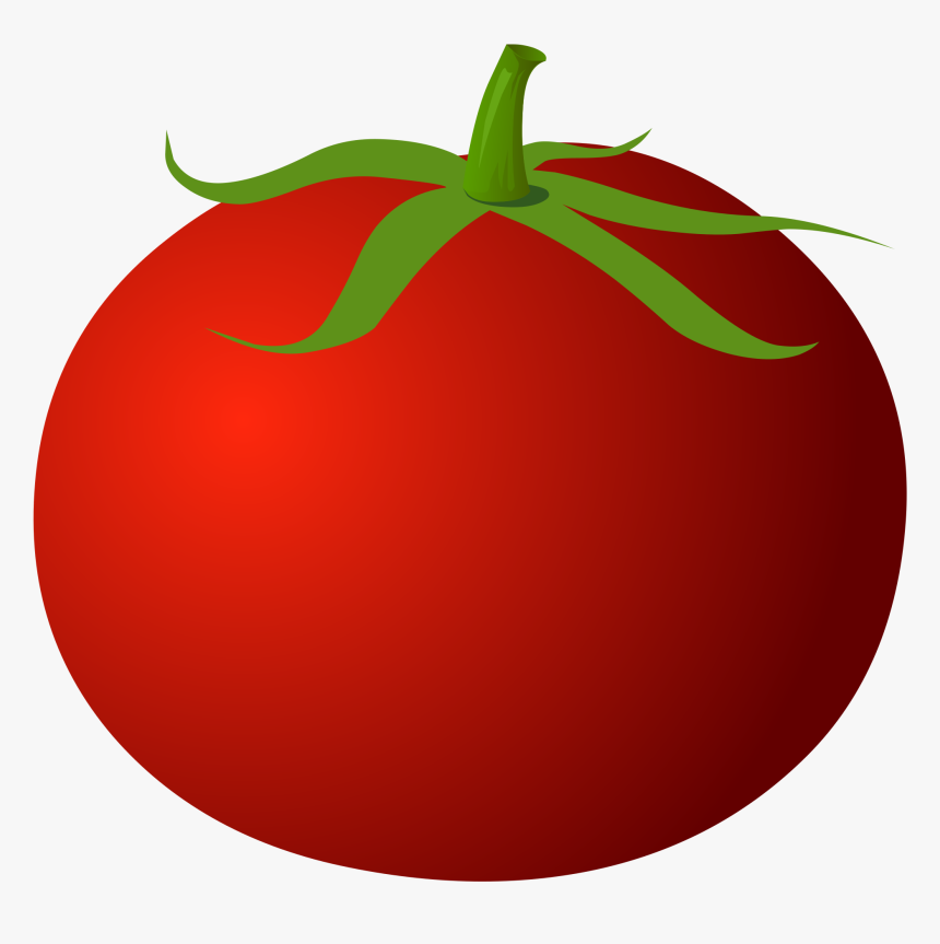 Tomatoes Panda Free Images - Tomato Clipart, HD Png Download, Free Download