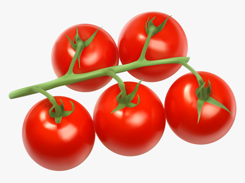 Tomatoes Branch Png Clipart - Tomatoes Png, Transparent Png, Free Download