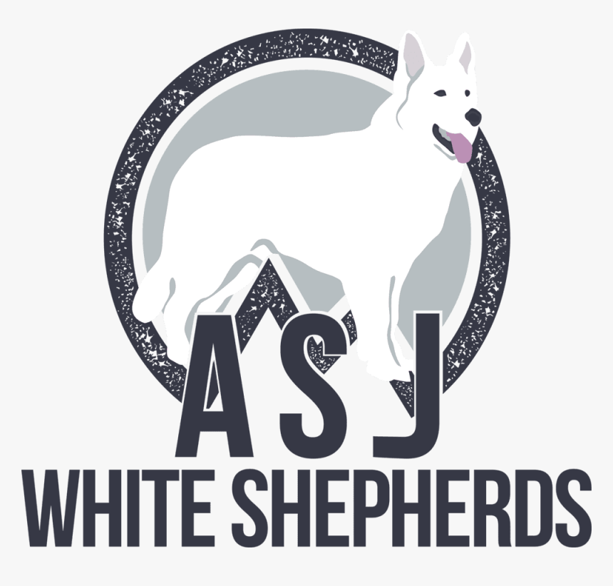 Asj White Shepherds In Middletown Ct - Guard Dog, HD Png Download, Free Download