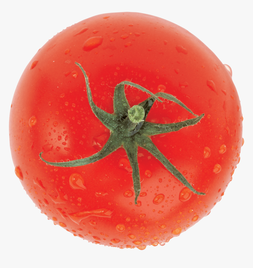 Top View Fresh Tomato - Tomato, HD Png Download, Free Download