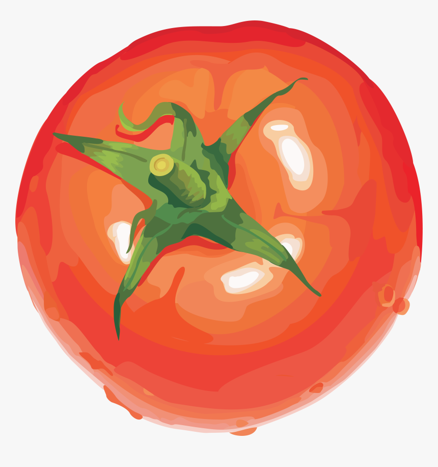 Red Tomatoes Png Image - Tomato Drawing Transparent Background, Png Download, Free Download