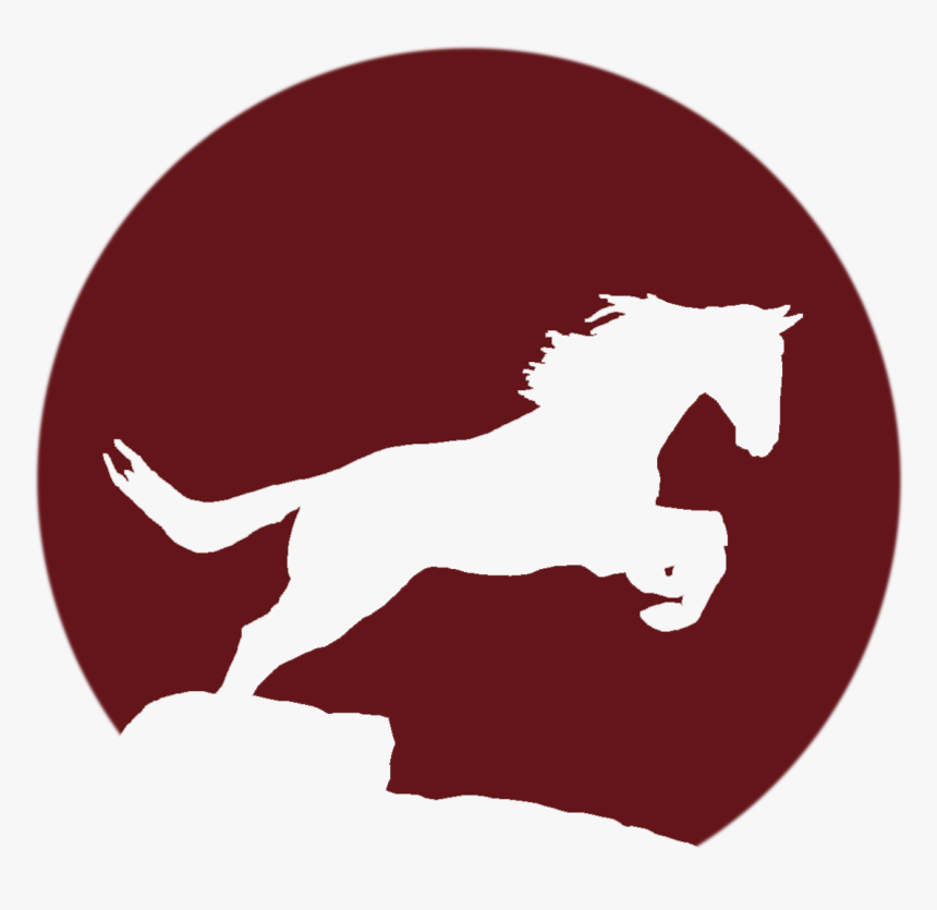 Hubbard Museum Of The American West - Stallion, HD Png Download, Free Download