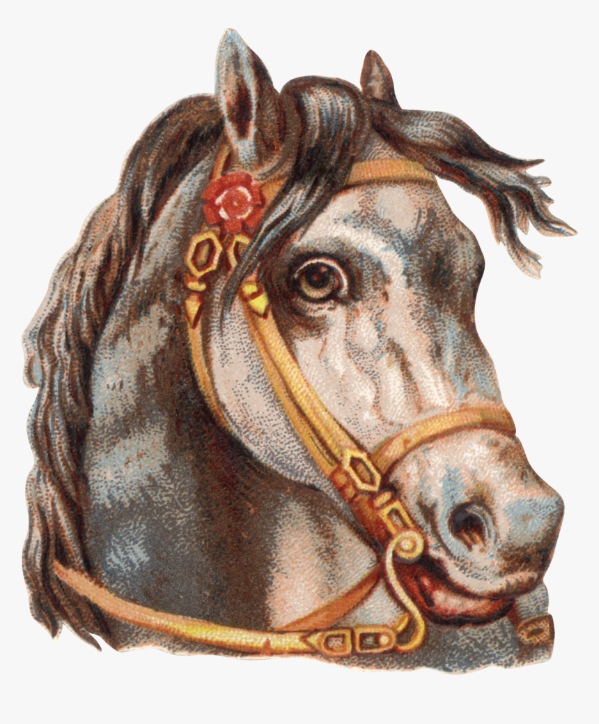 Horse, HD Png Download, Free Download