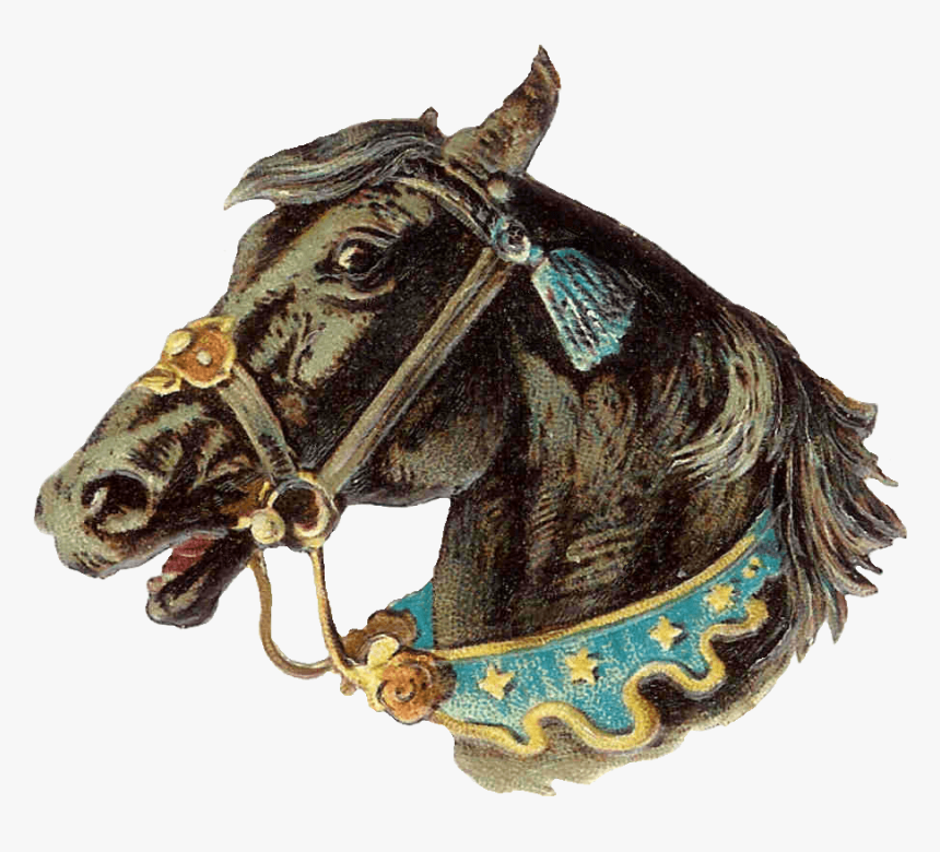 Vintage Horse Head Clip Arts - Circus Vintage Art Png Transparent, Png Download, Free Download