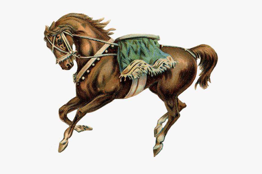 Circus Horse Green Saddle - Horse With Saddle Png, Transparent Png, Free Download