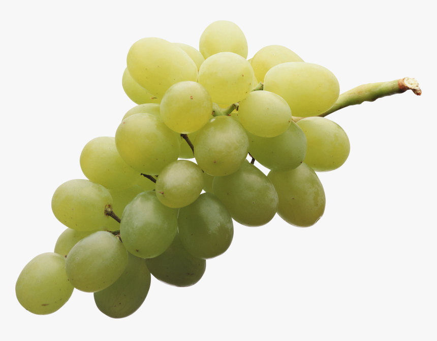 Grapes Png, Transparent Png, Free Download