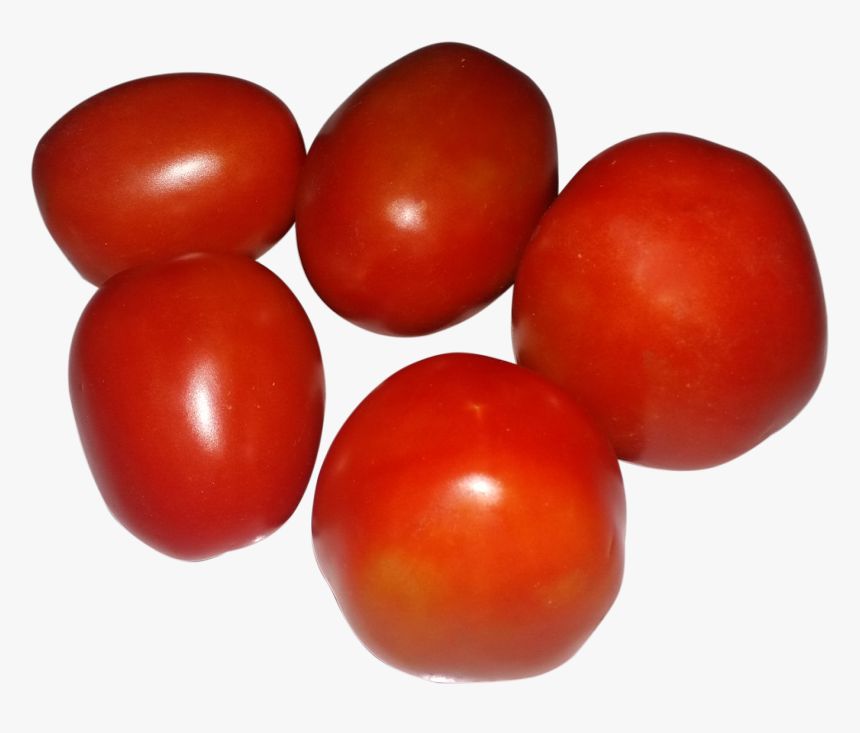 Tomato Clipart Ripe - Plum Tomato, HD Png Download, Free Download