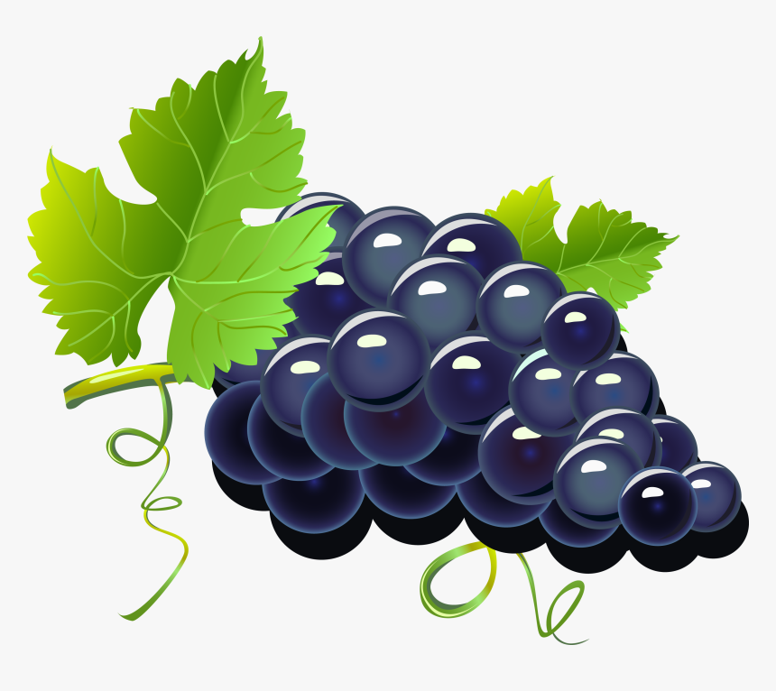 Clip Art Grapes Cartoon - Grapes Cartoon, HD Png Download, Free Download