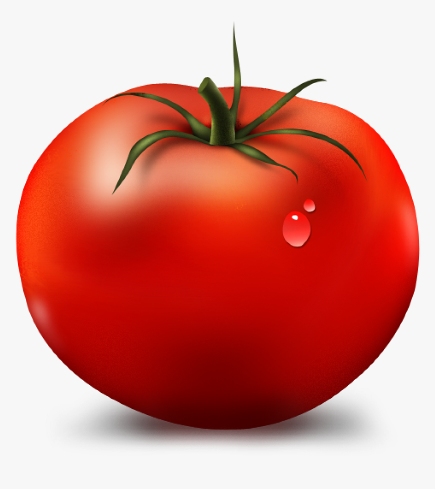 Tomato Clipart Bird Clipart Hatenylo - Red Tomato Clipart, HD Png Download, Free Download