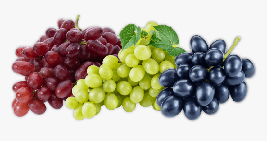 Grapes Fruit, HD Png Download, Free Download