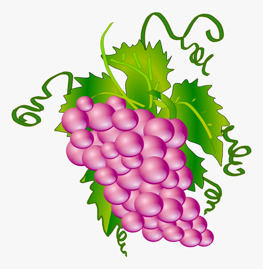 Pictures Of Red Grapes - Communion Grapes, HD Png Download, Free Download